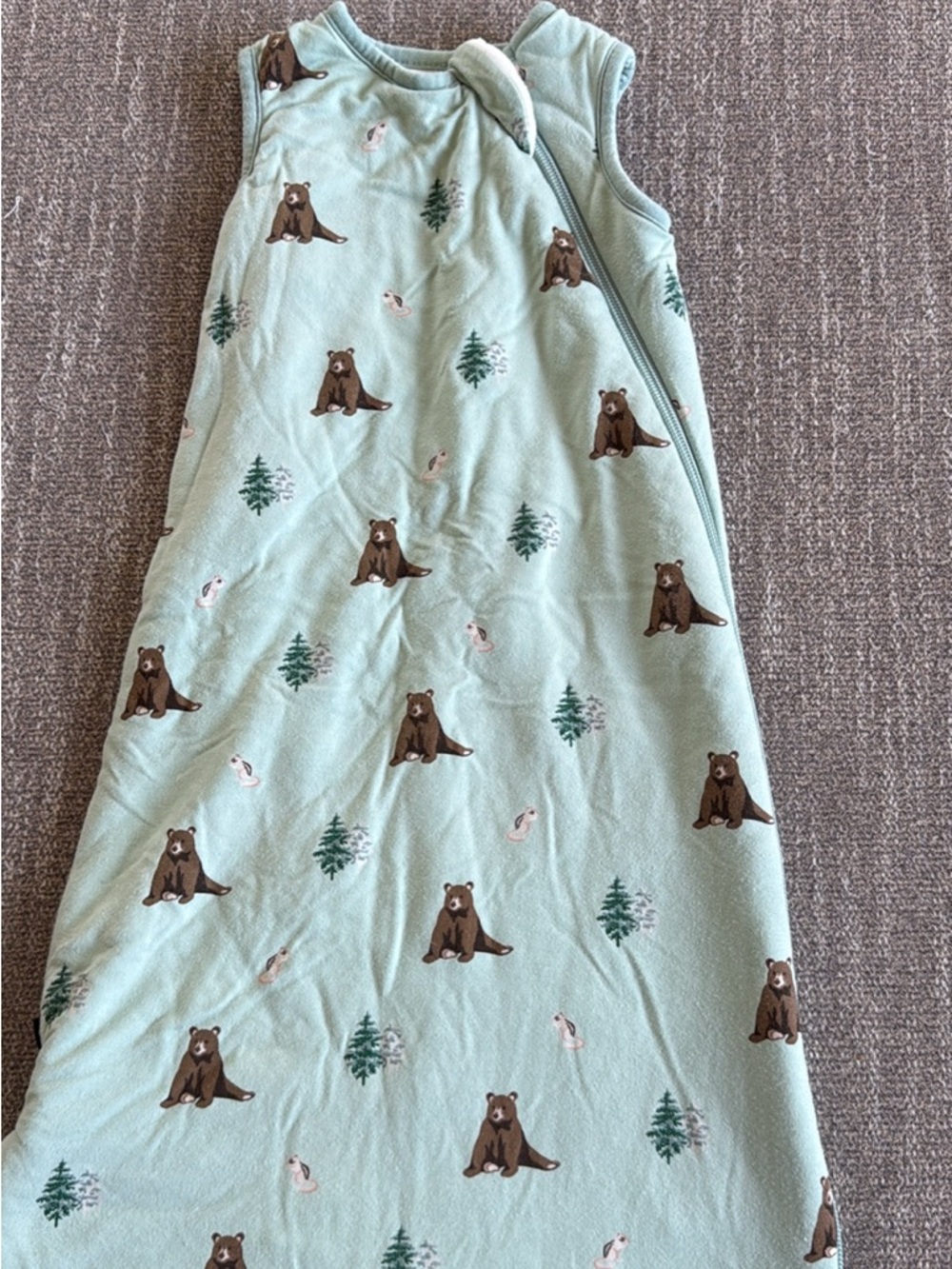 Kyte BABY Mint Green Bear Print Sleep Sack